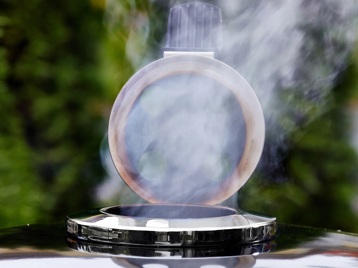 Weber E6 Summit Kamado barbecue