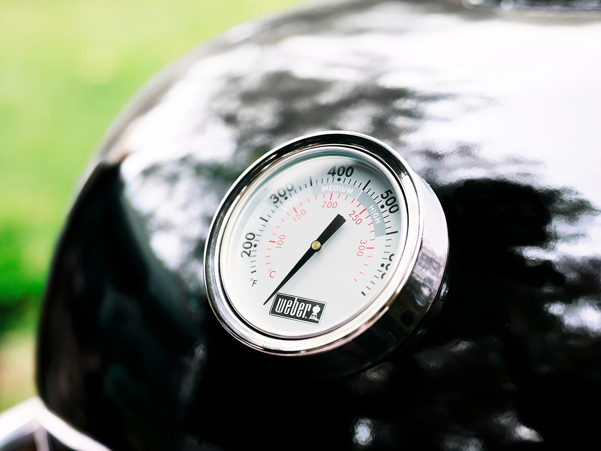 Weber E6 Summit Kamado barbecue
