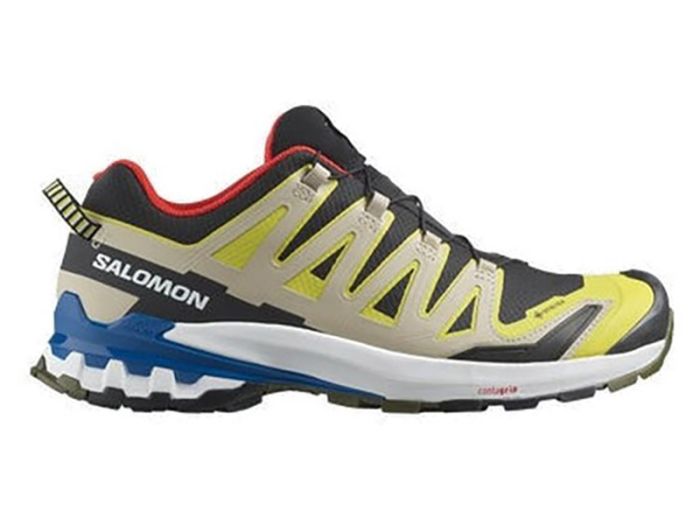 Salomon XA Pro 3D V9 GTX Butter Lapi heren wandelschoenen