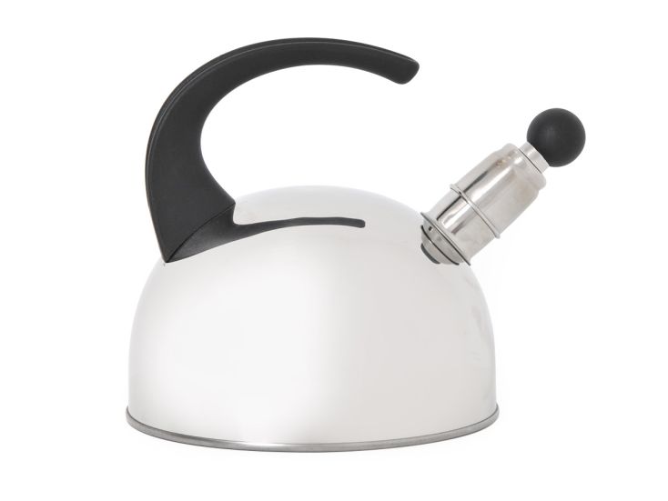 rvs bol fluitketel