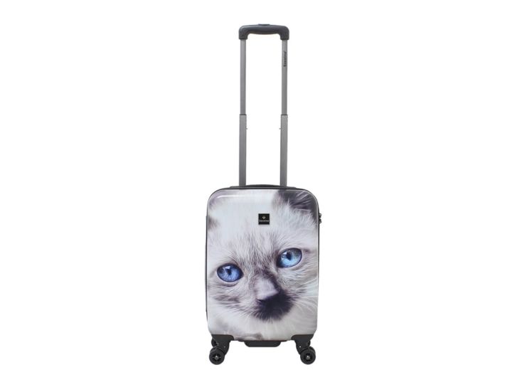 Saxoline White Cat 54 cm reiskoffer