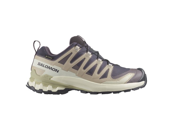 Salomon Xa Pro 3D V9 Gore-Tex dames Trailrunningschoenen - Iron