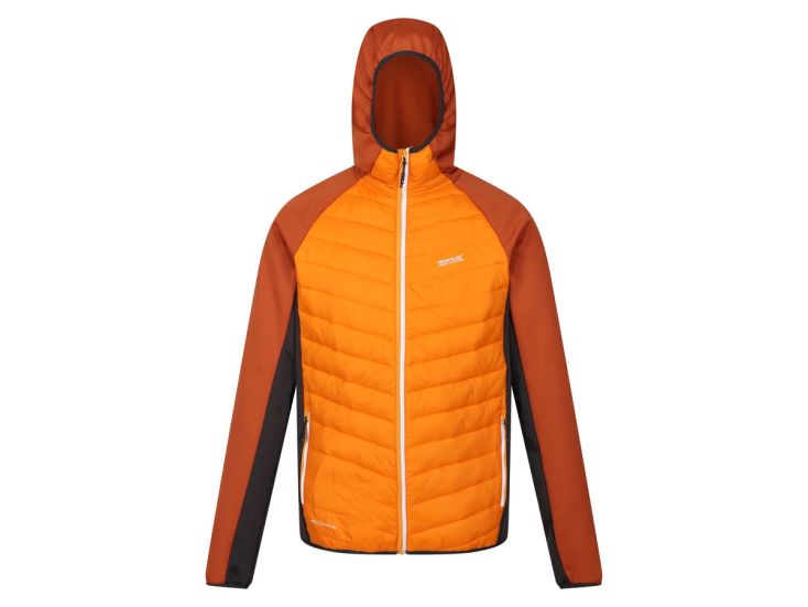 Regatta ANDRESON VIII Hybrid herenjas - Orange