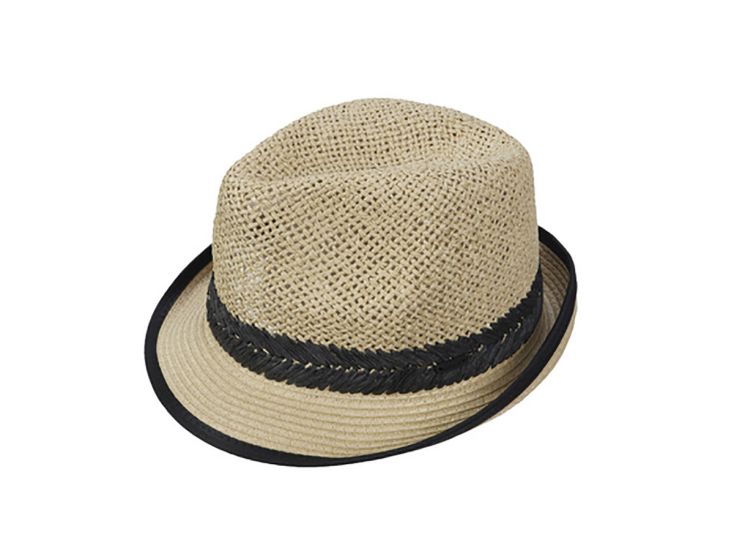 Icepeak Hawesville heren pet - Beige