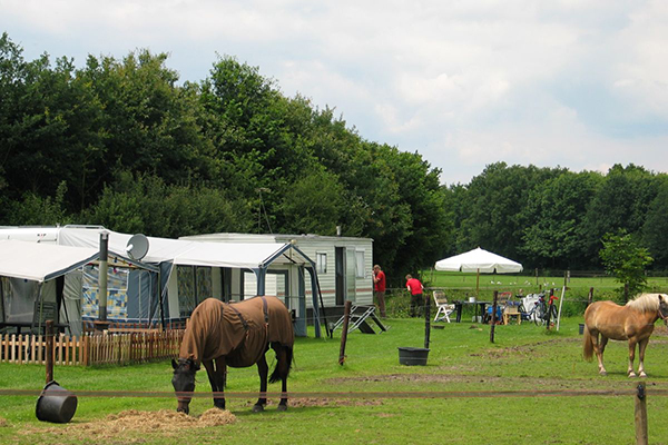 Camping met paarden